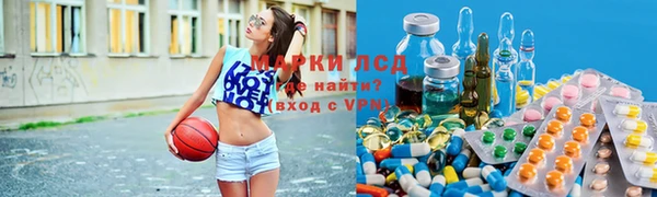 индика Алексин