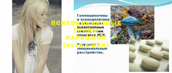 дмт Алзамай