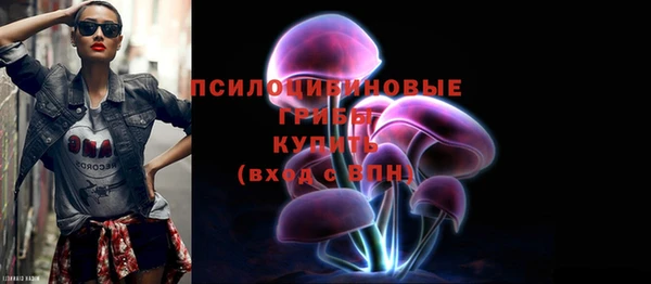 индика Алексин