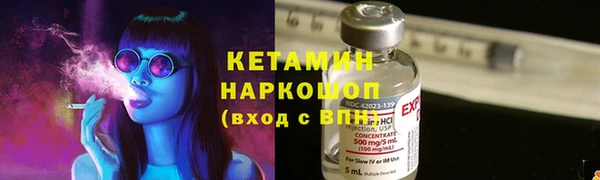 индика Алексин