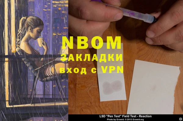 дмт Алзамай