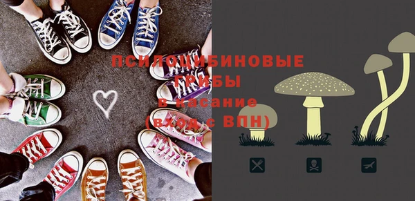 индика Алексин