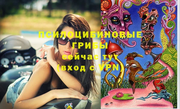 дмт Алзамай
