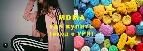 индика Алексин