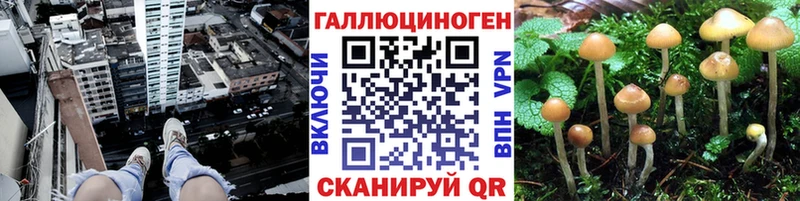 Галлюциногенные грибы Cubensis  как найти закладки  Хотьково 
